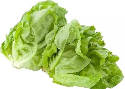 新鮮蔬菜配送:生菜